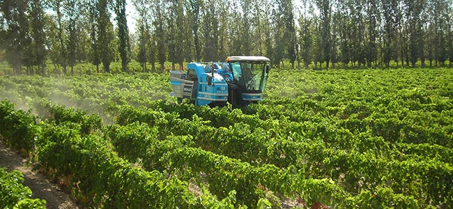 Vendemmia meccanica